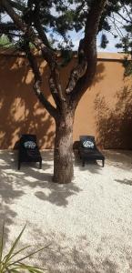 Fotografie z fotogalerie ubytování Suite 24 v destinaci Aubenas