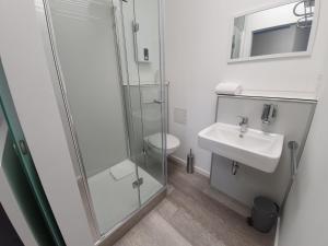 a bathroom with a shower and a sink and a toilet at Hotel FeWo-HM in Ramstein-Miesenbach