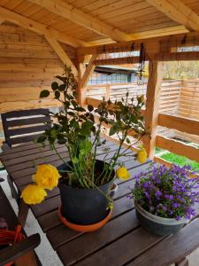 Fotografie z fotogalerie ubytování Kakasdombi Apartman v destinaci Balatonszabadi
