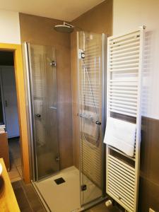 een douche in een badkamer met een glazen douchecabine bij Ferienwohnung Haus Weinbergsblick in Kirschroth