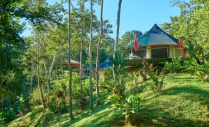 a house in the middle of a forest at Manoas in Uvita