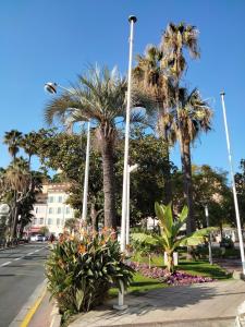 Gallery image of Studio charmant avec vue sur la mer a Cannes 20 m&sup2; terrasse in Cannes