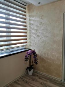 Fotografie z fotogalerie ubytování Apartment Ruža v destinaci Kladovo