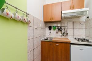 Kuchyň nebo kuchyňský kout v ubytování Apartments Vera