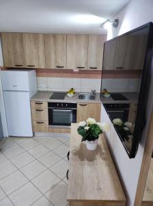 Kuchyňa alebo kuchynka v ubytovaní STONE HOUSE Lovric