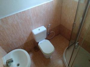 a bathroom with a toilet and a shower and a sink at Wib Guesthouse in Addis Ababa