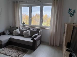 a living room with a couch in front of a window at Caskada Modern Apartment 3 in Słupsk