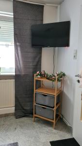TV a/nebo společenská místnost v ubytování Ferienwohnung Thore