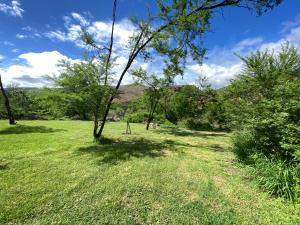 a grassy field with trees in the distance at Baviaanskloof Laaste Kamp - Wild Bush Camping in Sandvlakte