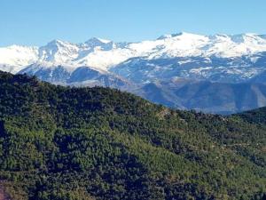 une vue aérienne sur une montagne enneigée avec des arbres dans l'établissement La Casa de Pablo, à Cenes de la Vega