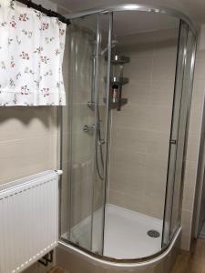 a shower with a glass door in a bathroom at Roubenka 1818 in Všelibice