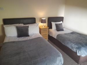 a bedroom with two beds and a night stand with a lamp at Delphi Lodge in Donaghmore