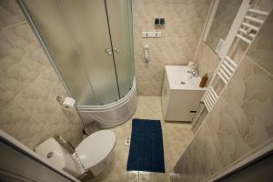 un bagno con doccia, WC e lavandino di Cazare La Piatra Buhei a Câmpulung Moldovenesc Altre 102 foto