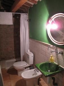 a green bathroom with a toilet and a sink at L'Esgolfa de ca l'Ortís in Figuerosa