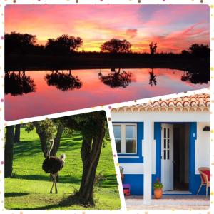 a bird standing next to a house with a lake at Monte do Lago, Pegões in Pegões