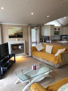 a living room with a couch and a fireplace at Gold Caravan in Harrietsfield