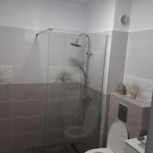 uma casa de banho com uma cabina de duche em vidro e um WC. em NEW Aparthotel Floresti em Floresti