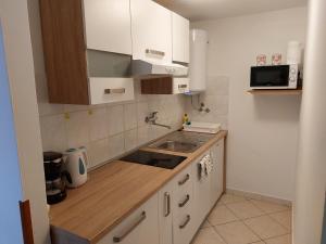 Kuchyň nebo kuchyňský kout v ubytování Apartmani Ana