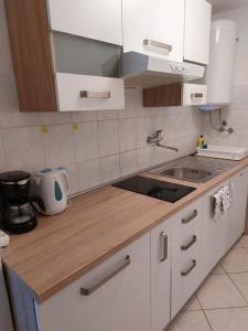 Kuchyň nebo kuchyňský kout v ubytování Apartmani Ana