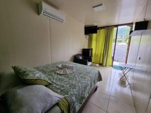 a bedroom with a bed and a television and a window at Relax Termalitas and Hot Springs in Fortuna