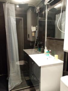 Un baño con lavabo blanco y ducha. en Studio les mélèzes vue montagne Barcelonnette, en Barcelonnette