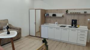Köök või kööginurk majutusasutuses Studio Apartment - A Bit Of Joy