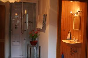 a bathroom with a shower and a sink and a toilet at Ferienwohnungen Grabnerbauer in Mondsee