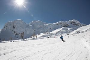 Alpenrose Nassfeld v zimě