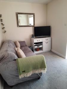 a living room with a couch and a flat screen tv at Cwmwdig Cwtch (3 minutes drive to Abereiddy bay!) in Haverfordwest