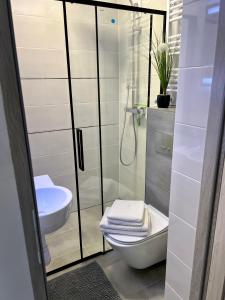 a bathroom with a shower and a toilet and a sink at Apartament Stary Zdroj Polanica Resort in Polanica-Zdrój
