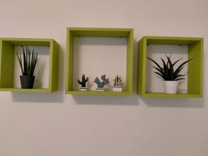 three green shelves with potted plants on a wall at Sea&Bike_Apartment in Finale Ligure