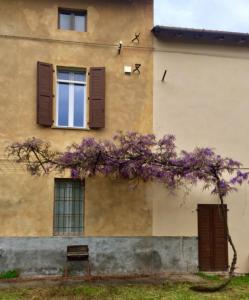 Appartamento in Cascina Cortazza في كريمونا: مبنى به نافذة وشجرة بها ورد أرجواني