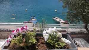 a pot of flowers on a table with a view of the water at Apartmani Villa Anita in Neum