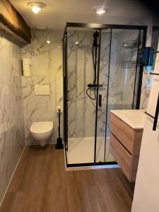 a bathroom with a shower and a toilet at Valkenhof in Valkenburg +64 photos