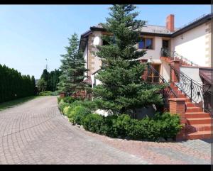 a house with a pine tree next to a brick road at Apartament w domu z kominkiem i ogrodem in Reda