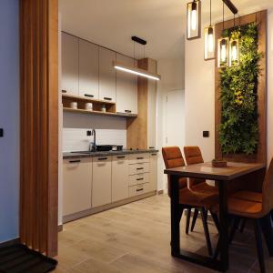 Köök või kööginurk majutusasutuses Apartlux Helena1