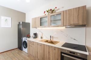 Kuchyň nebo kuchyňský kout v ubytování TwinStars Maisonette