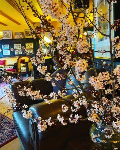 Hotel Anker في كامب بورنهوفن: مزهرية مليئة بالورود في الغرفة
