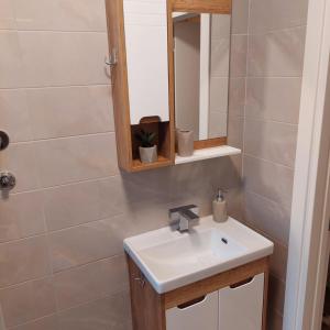 Vannituba majutusasutuses Apartlux Helena1
