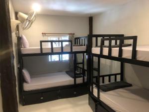 a group of bunk beds in a room at Social Quarters in Railay Beach