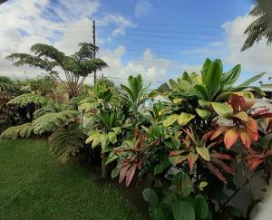 Paradise Cottage at Anthurium Hale外面的花园