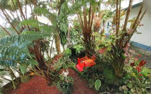 Paradise Cottage at Anthurium Hale外面的花园
