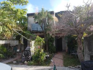 un patio de una casa con un árbol en Caribbean Paradise en Cancún