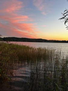 a sunset over a body of water with tall grass at SWEET APP AM SEE in Pönitz am See