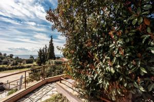 a large green bush next to a bridge at TwinStars Wonderful View in Kalyves Poligirou