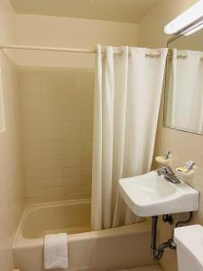 a bathroom with a sink and a tub and a shower curtain at Crown Inn Motel in Linden