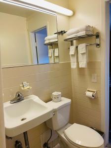 ein Badezimmer mit einem Waschbecken, einem WC und einem Spiegel in der Unterkunft Crown Inn Motel in Linden
