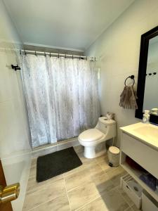 łazienka z toaletą i umywalką w obiekcie Moon River Puerto Varas w mieście Puerto Varas