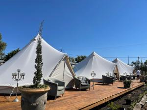 Une rangée de tentes blanches avec des chaises et des arbres dans l'établissement Club Boutique Hotel Cunnamulla, à Cunnamulla