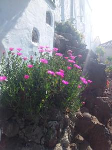 Zdjęcie z galerii obiektu Romantic Casa Rural La Molinera w mieście Santa Lucía